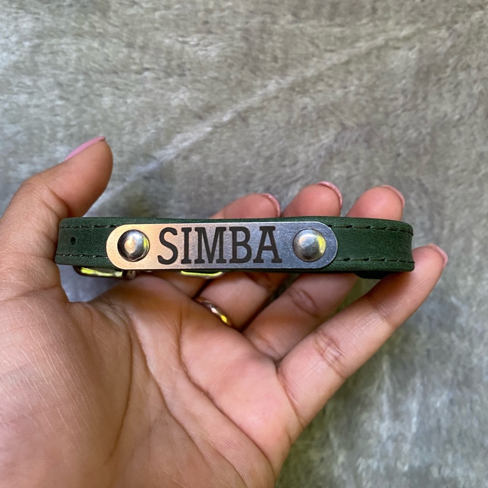 Cat or Kitten Collar